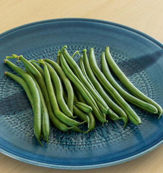 Seeds | Beans  Seychelles Organic