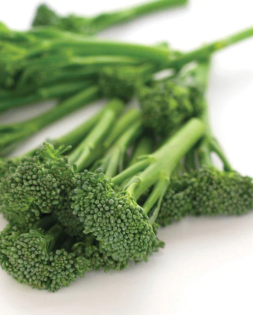 Seeds | Broccoli Asabroc Broccolini