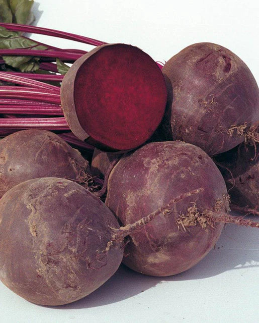 Seeds |Beets  Boro F1 Organic