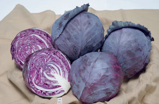 Seeds | Cabbage Ruby Ball F1