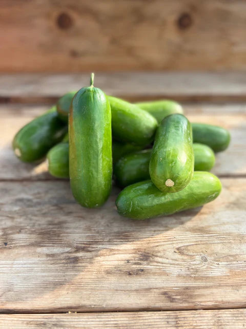 Seeds | Cucumbers Mini-Me F1 Organic