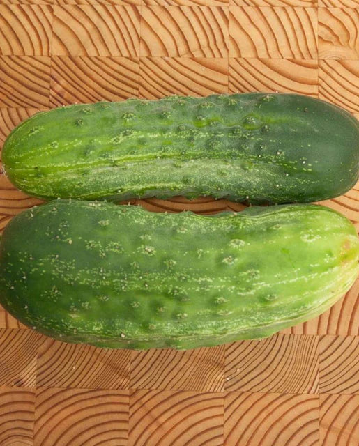 Seeds | Cucumbers Homemade Pickles