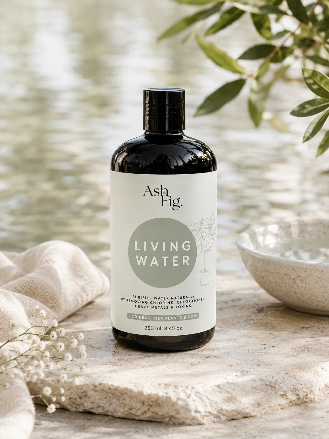 Living Water