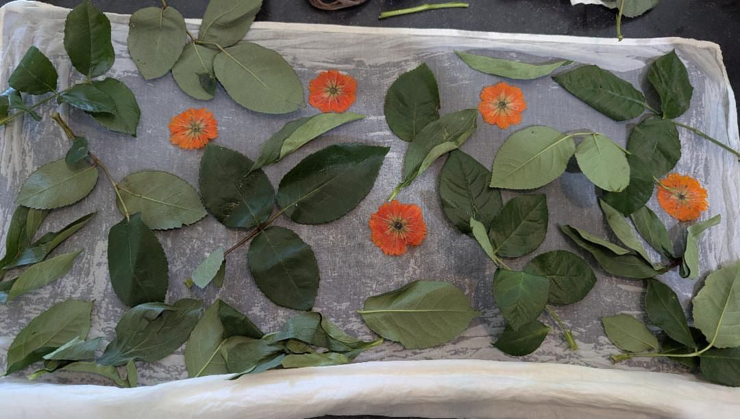 WORKSHOP | Floral dye + print and vase arrangement