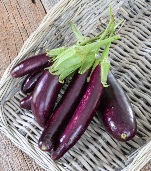 Seeds | Eggplant Little Finger OP Certified Organic