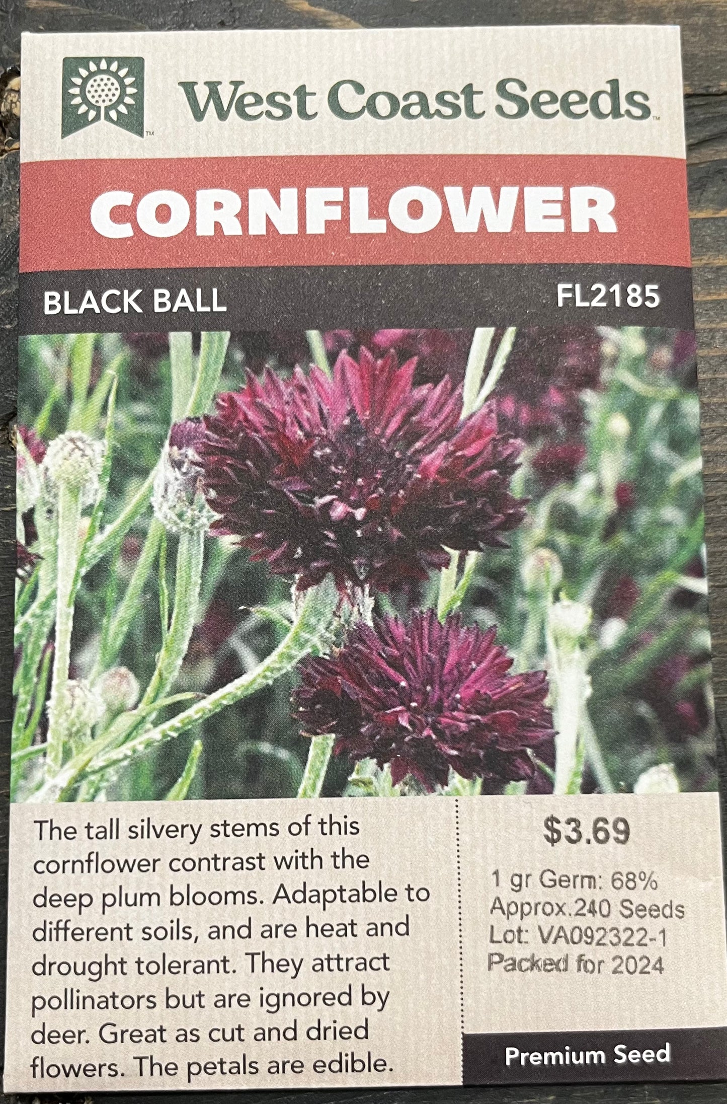 Cornflower Black Ball
