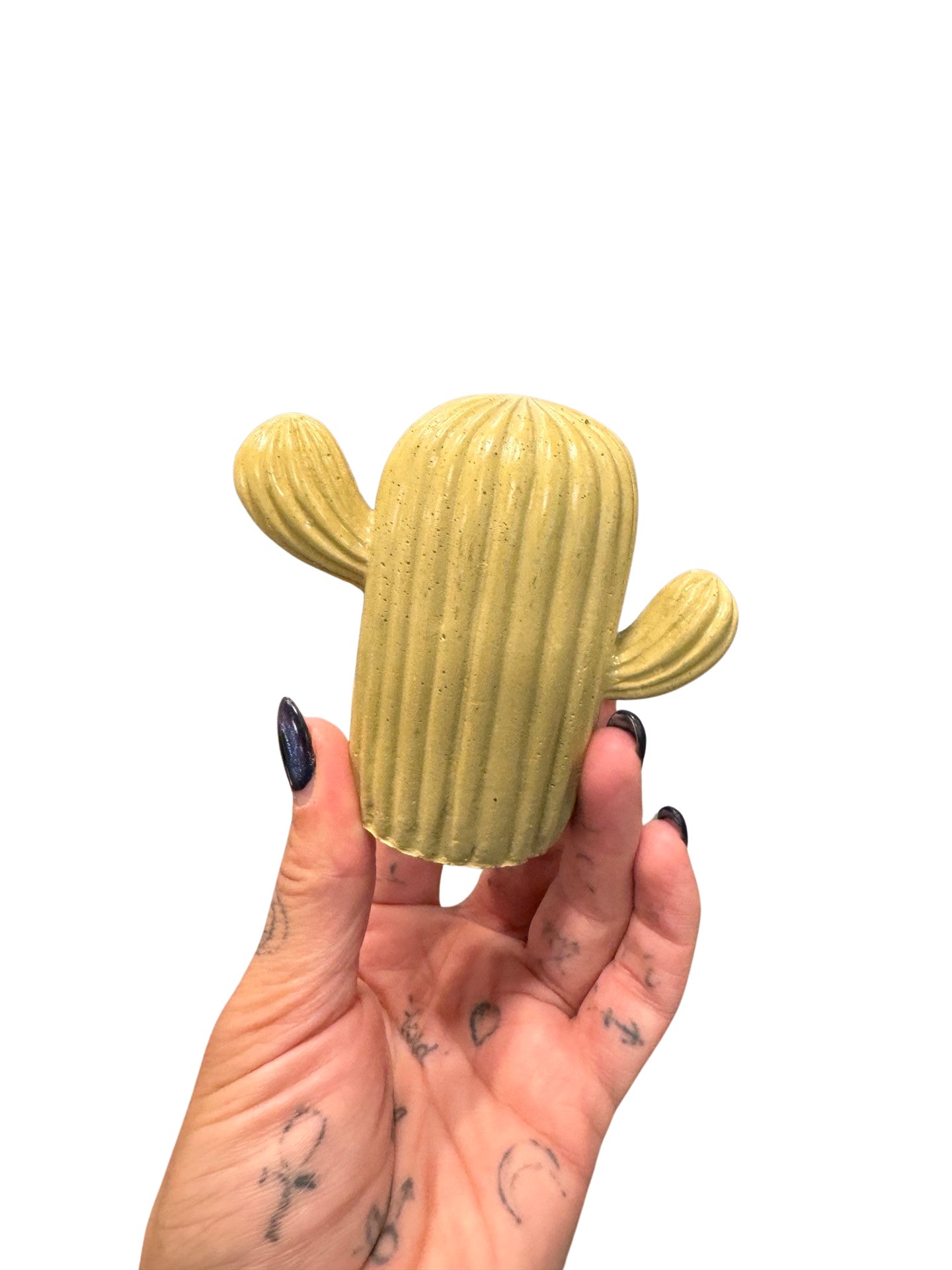 Cactus Ring Holder/ Decor | Plant 'Er Here