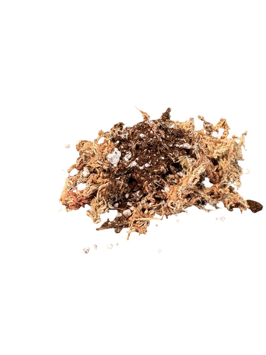 Carnivorous Soil Mix