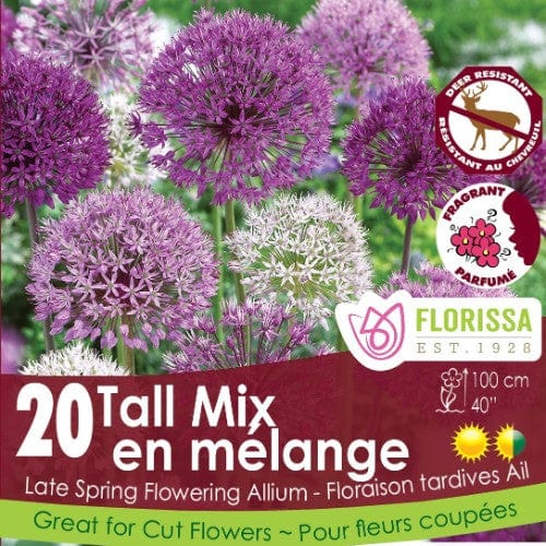 Tall Mix 20pk | Allium