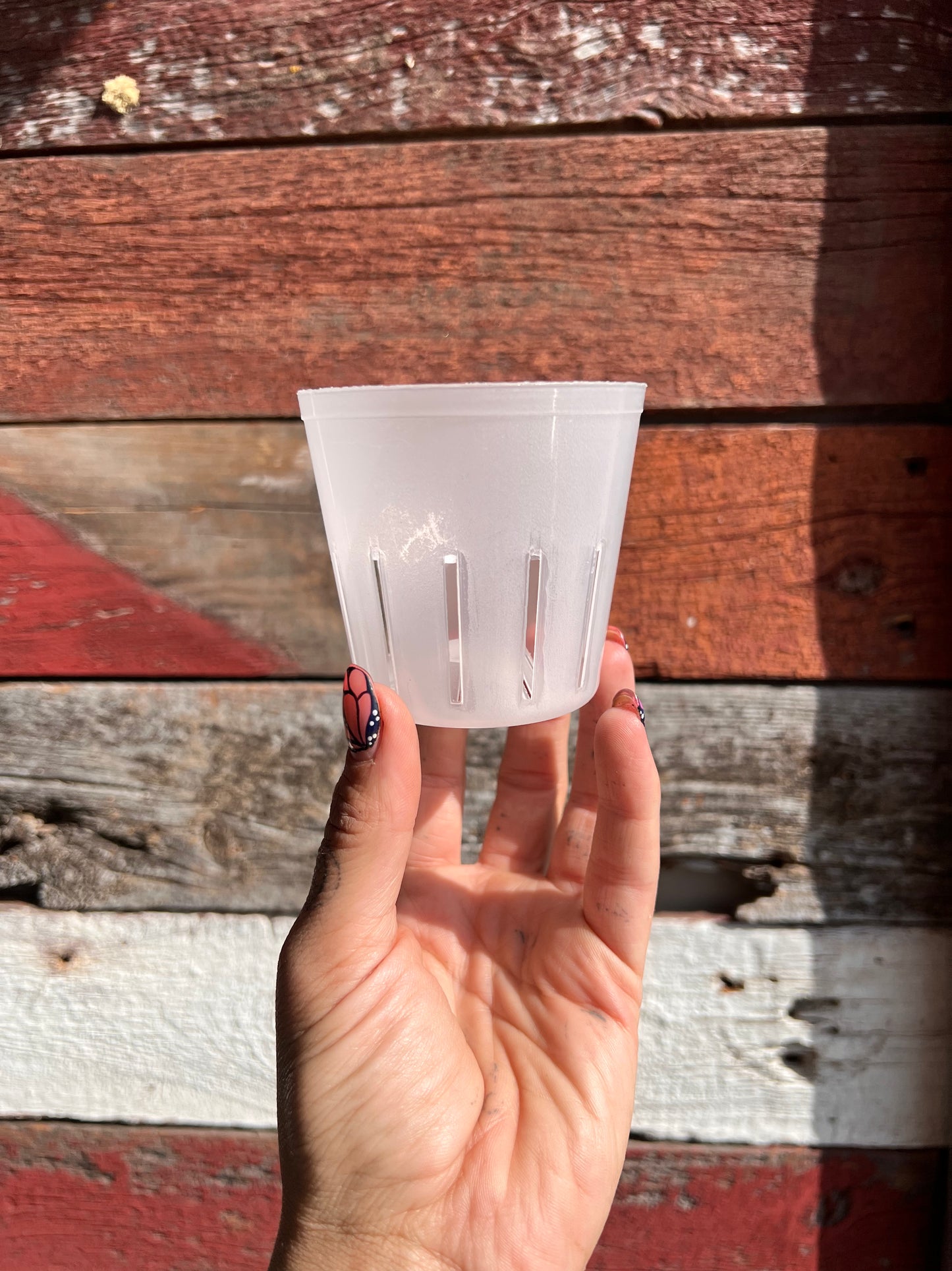 Orchid Pots | Clear Round
