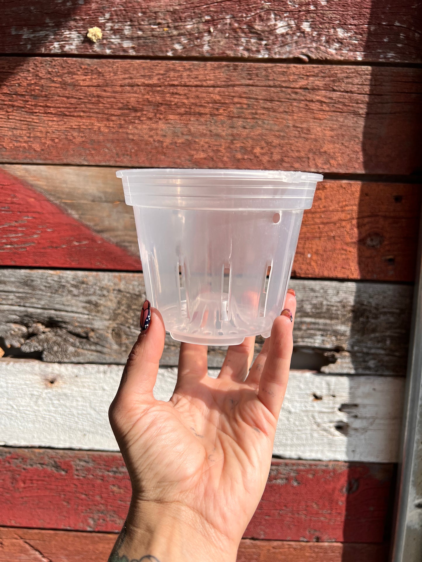 Orchid Pots | Clear Round