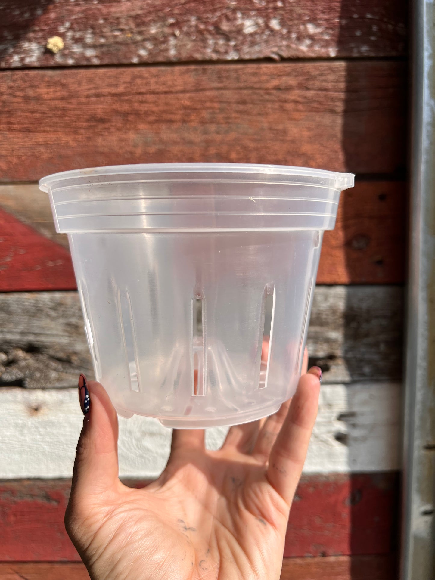 Orchid Pots | Clear Round