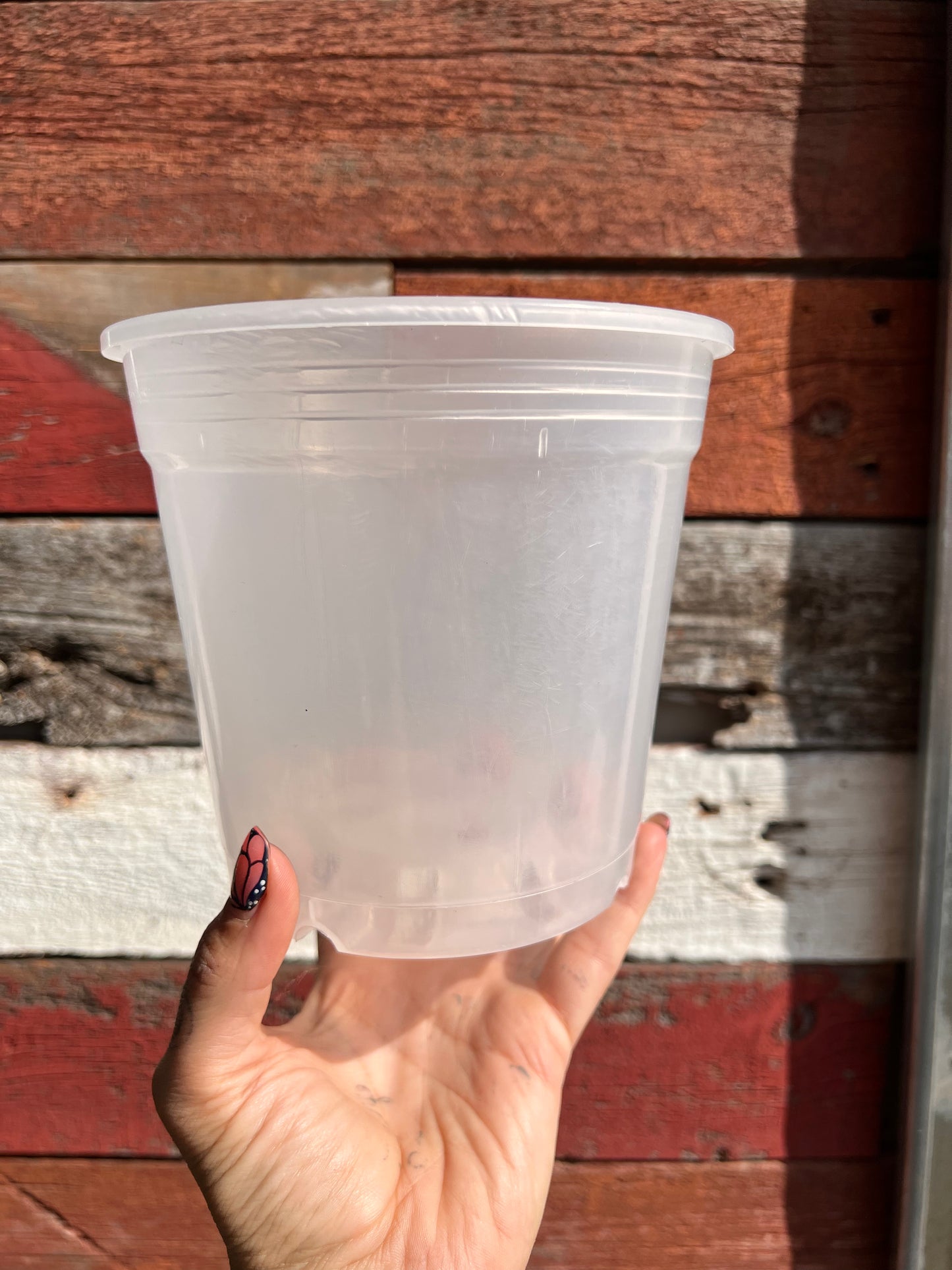 Orchid Pots | Clear Round
