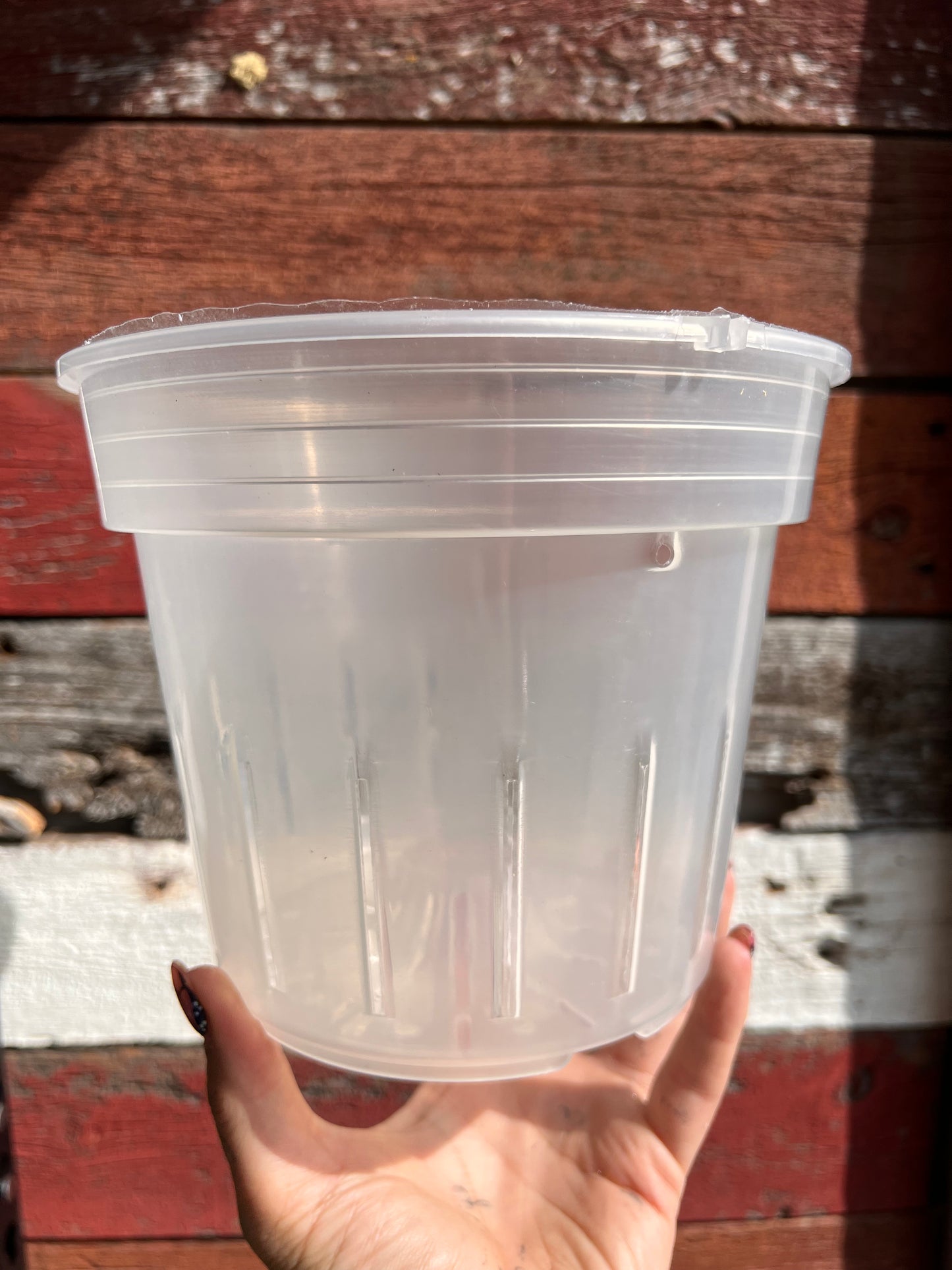 Orchid Pots | Clear Round