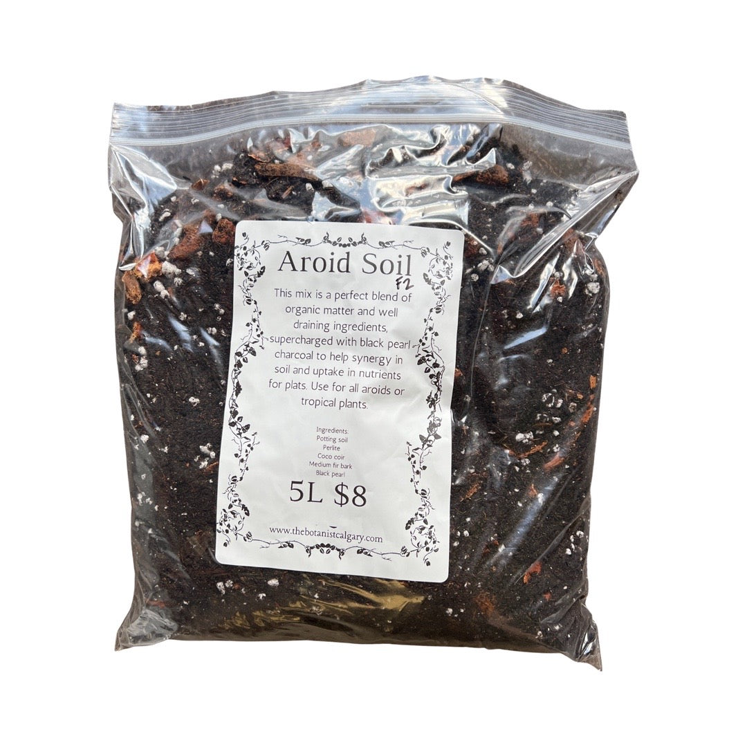 Aroid Mix | In house Soil