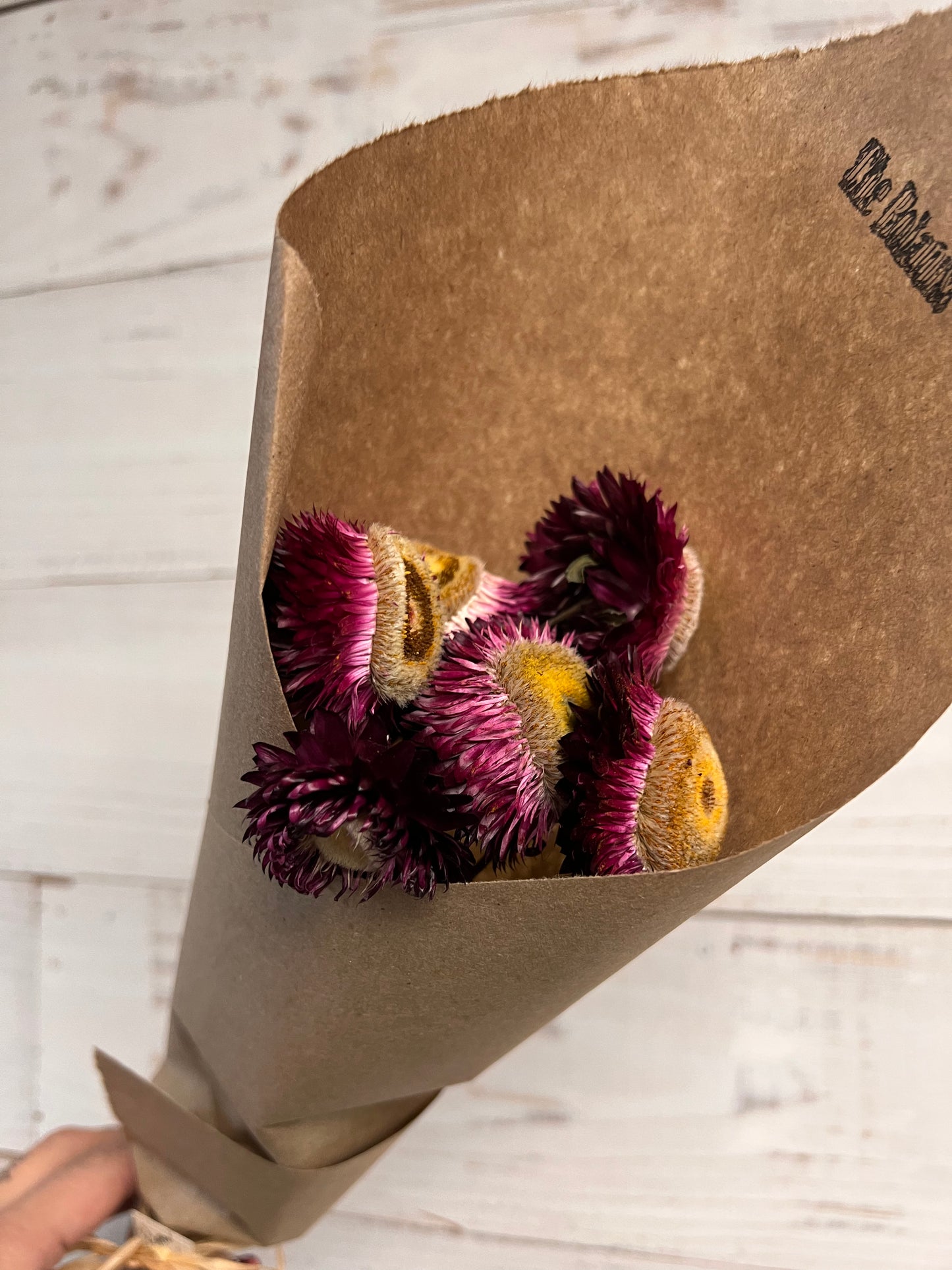 Dried & Preserved Floral | Strawflower