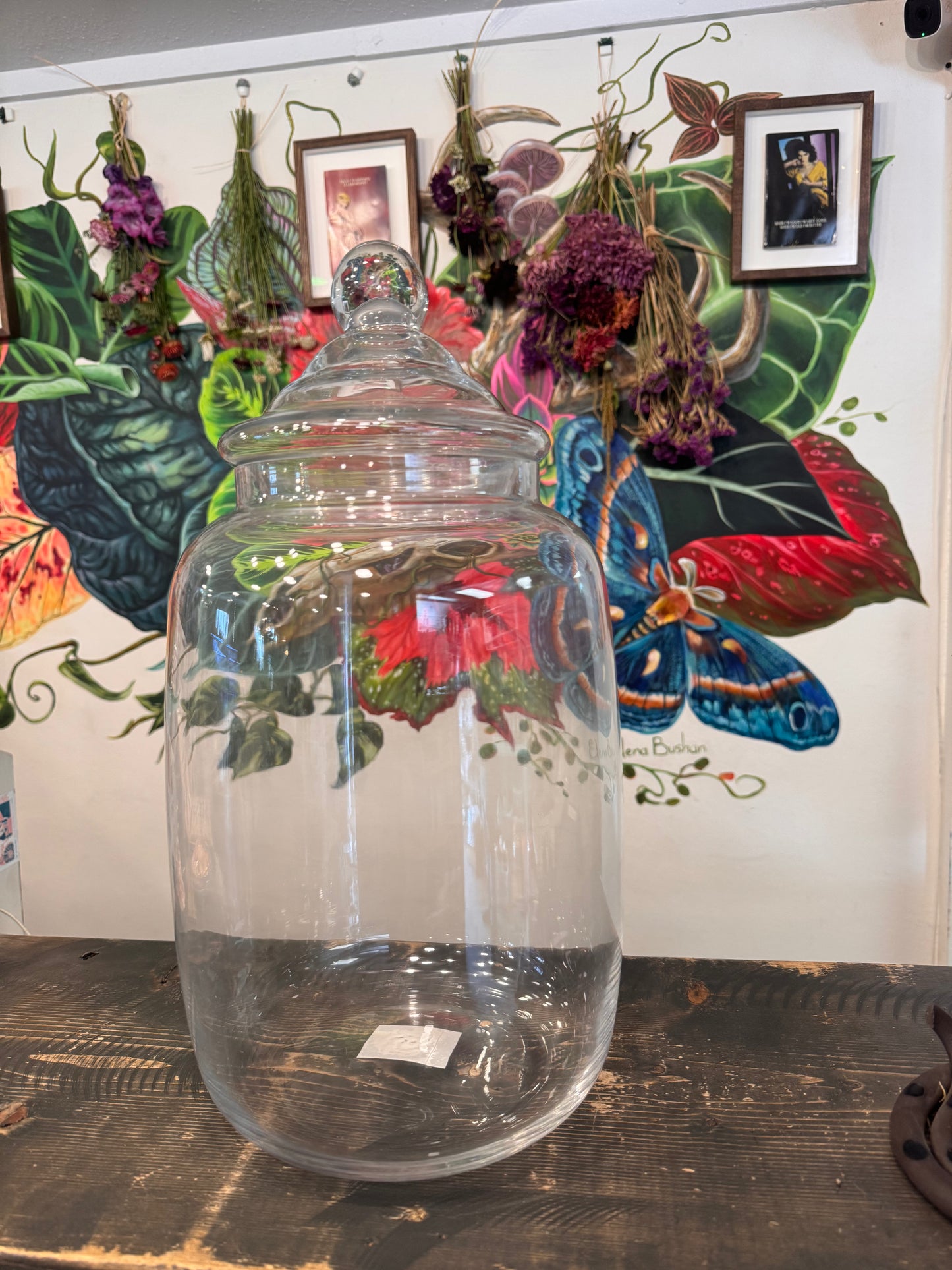 Terrarium Vessels | Glass Candy Jar w/ Lid