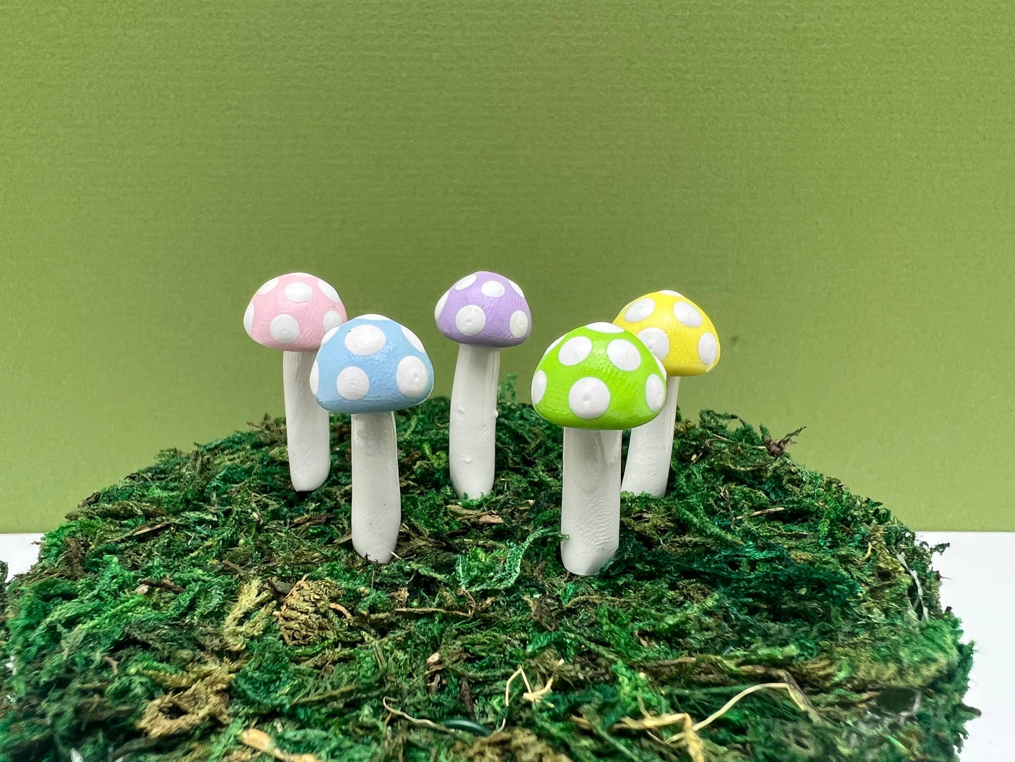 Mini BUTTON Mushroom