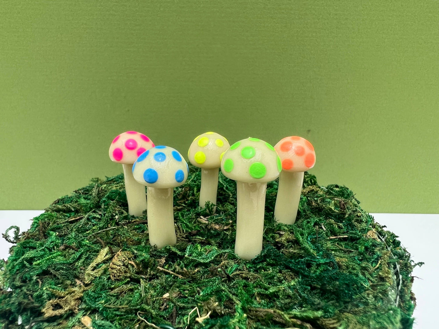 Mini BUTTON Mushroom