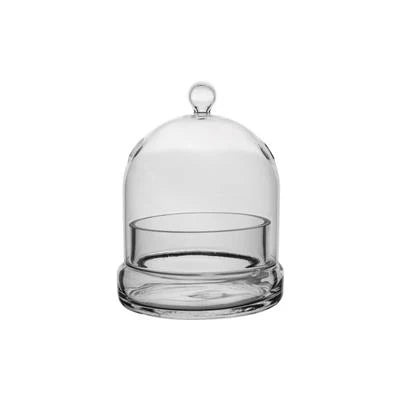 Terrarium Cloche Syndicate