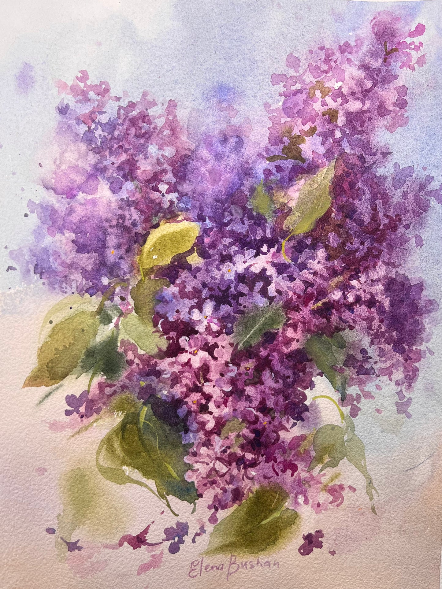 WORKSHOP | Botanical Watercolour Painting