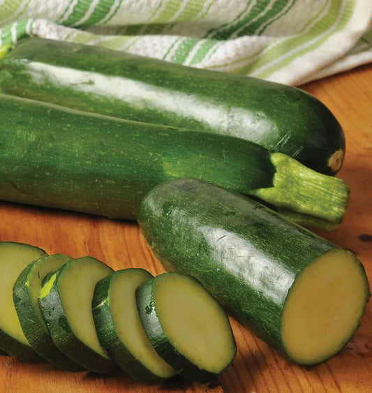 Seeds | Squash Jackpot Zucchini