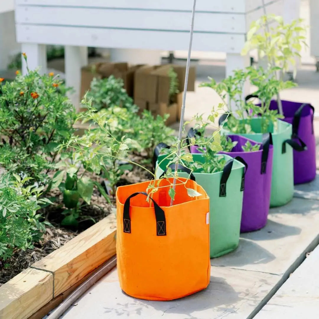 Grow bags Coloured 7 Gallon | Bootstrap Farmer
