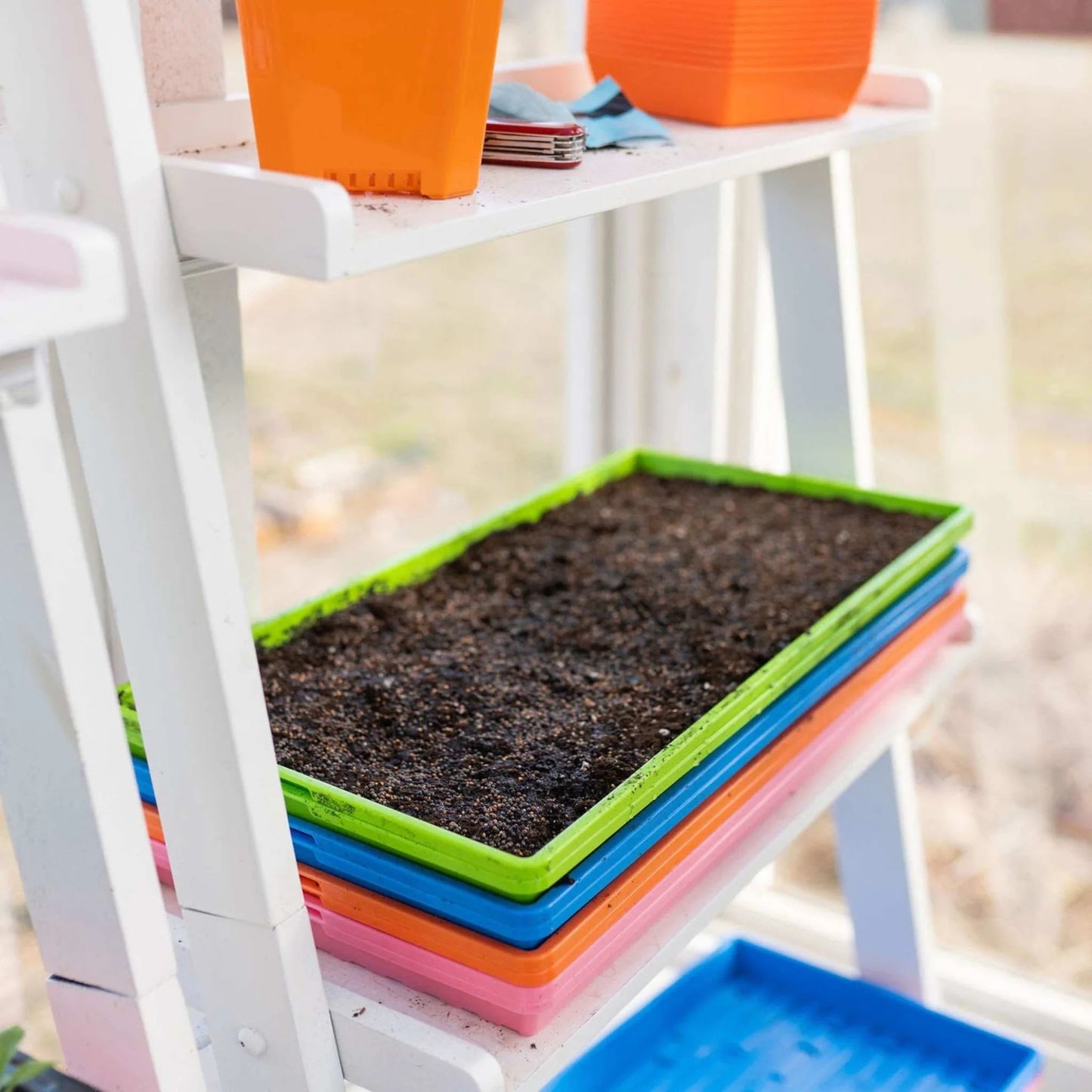 1020 SHALLOW Microgreen Trays