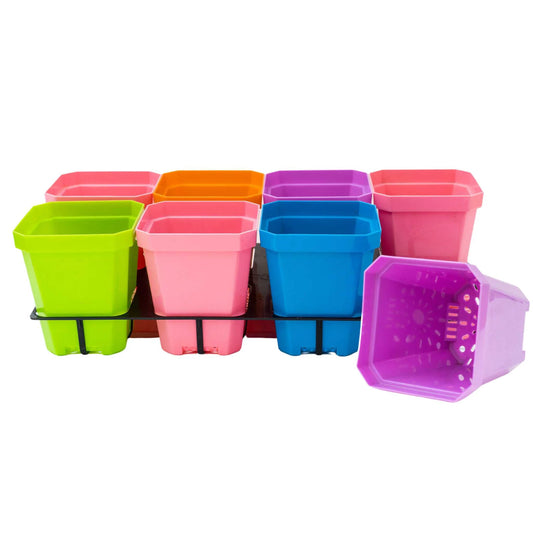 5" Square Coloured Pot