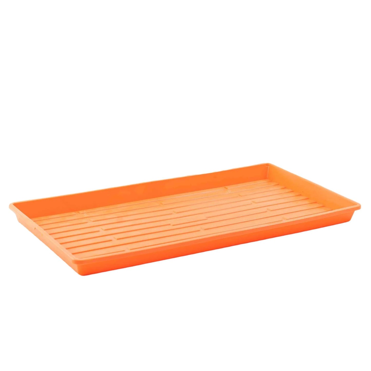 1020 SHALLOW Microgreen Trays