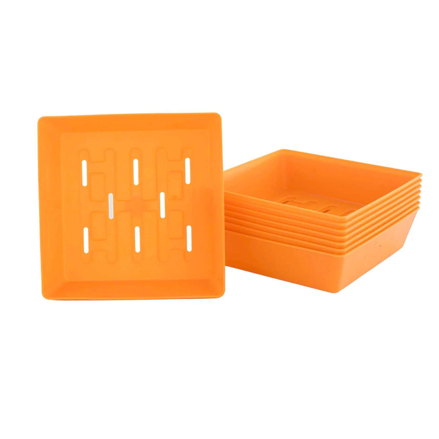 55 Shallow Tray HOLES