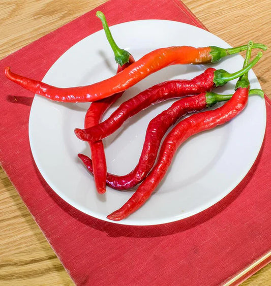 Seeds | Peppers Witch Sticks Chili F1