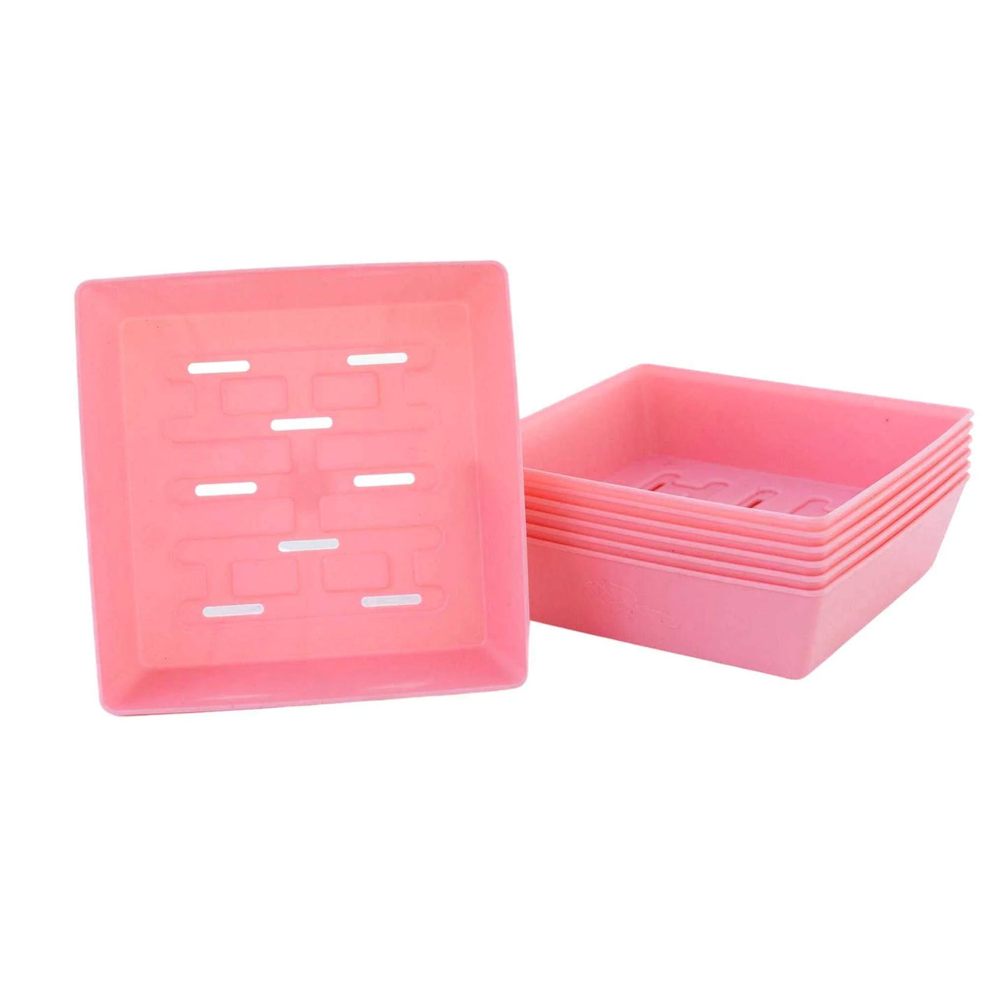 55 Trays Shallow