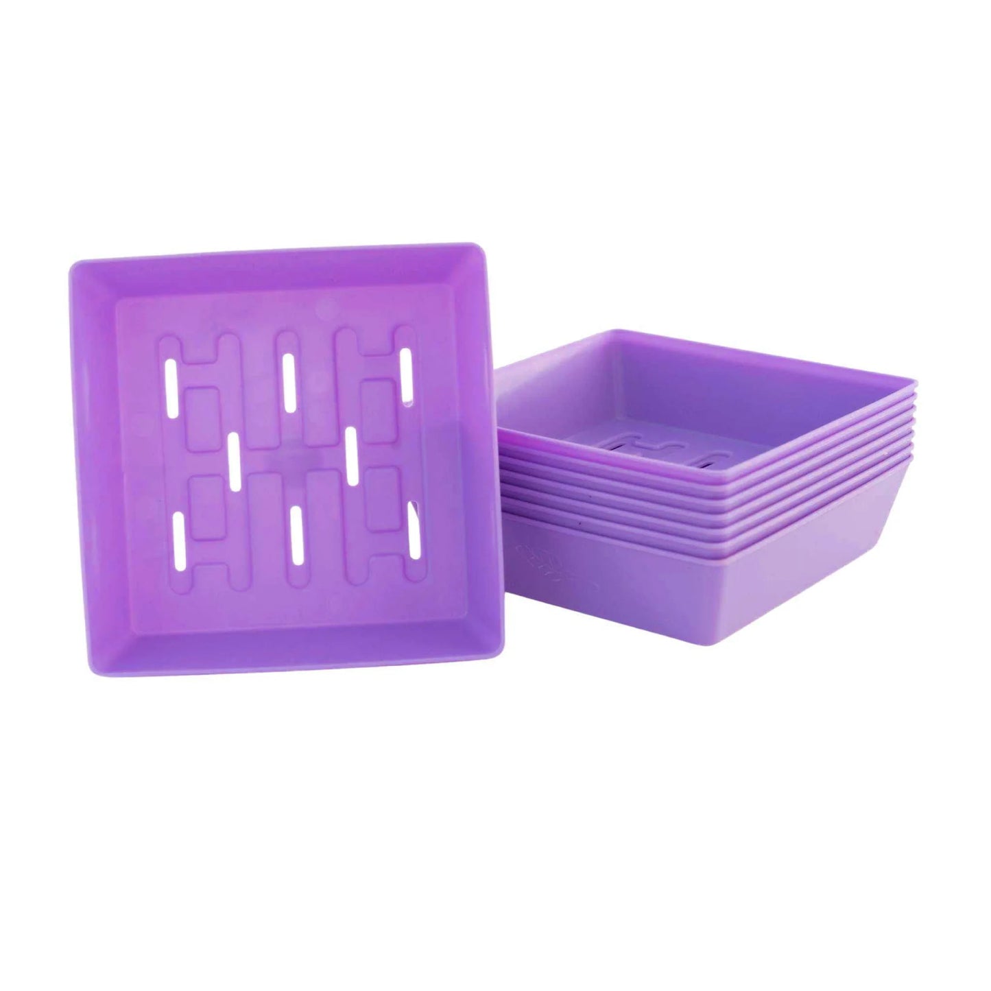 55 Shallow Tray HOLES