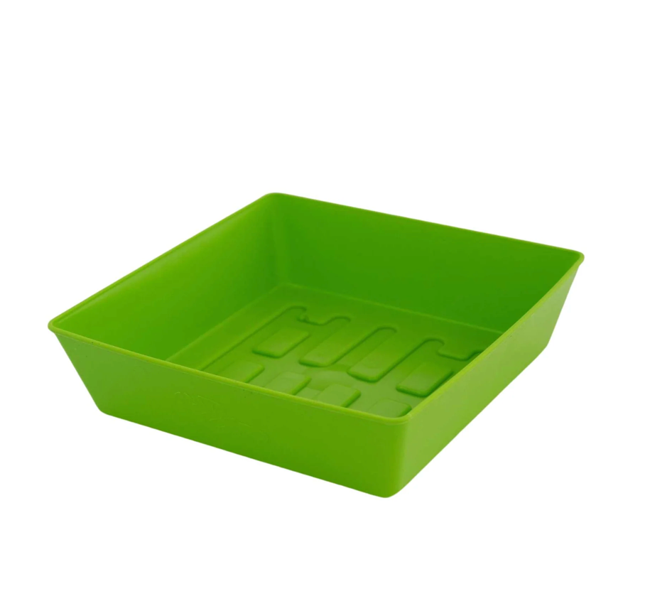 55 Trays Shallow
