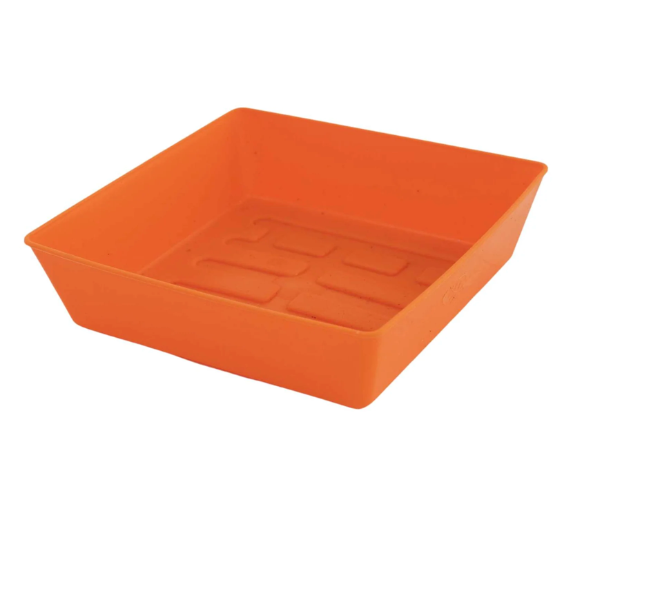 55 Trays Shallow