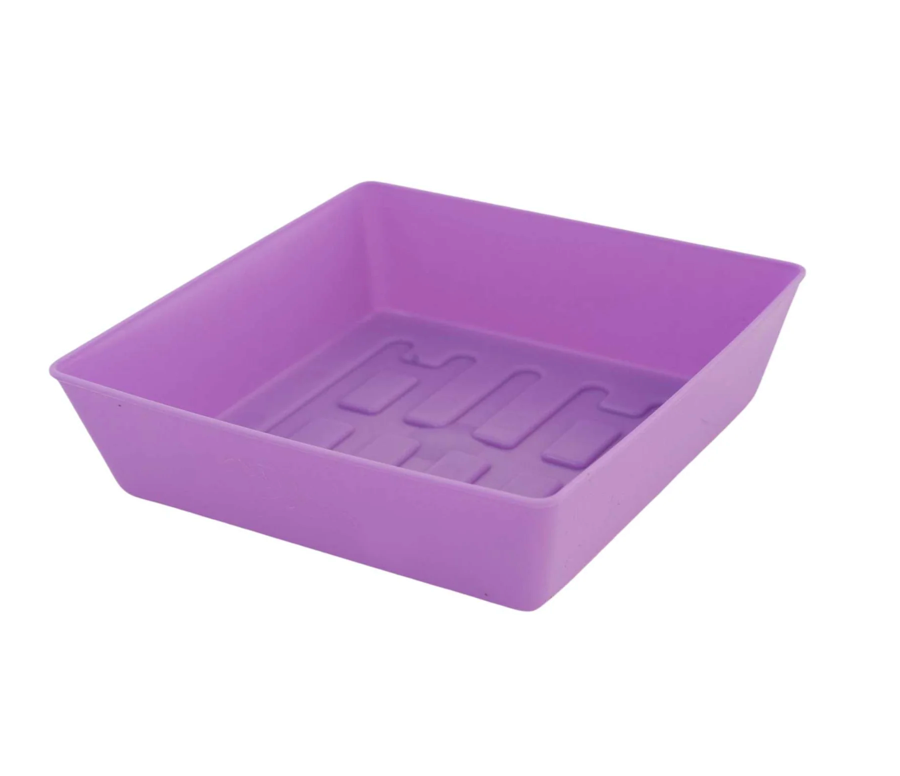55 Trays Shallow