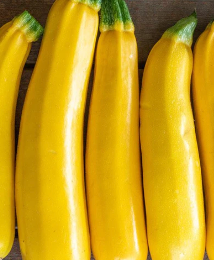 Squash | Goldy | Seeds