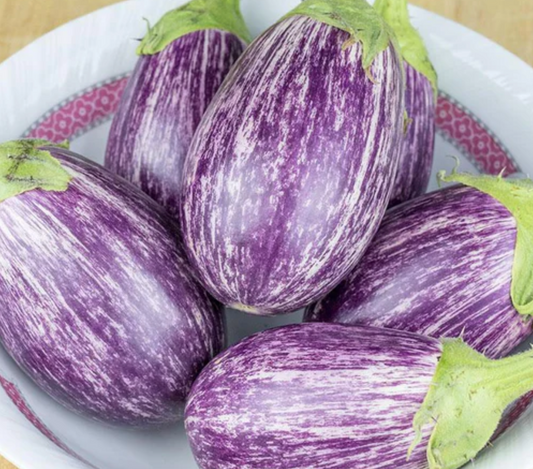 Eggplant | Piccolo | Seeds
