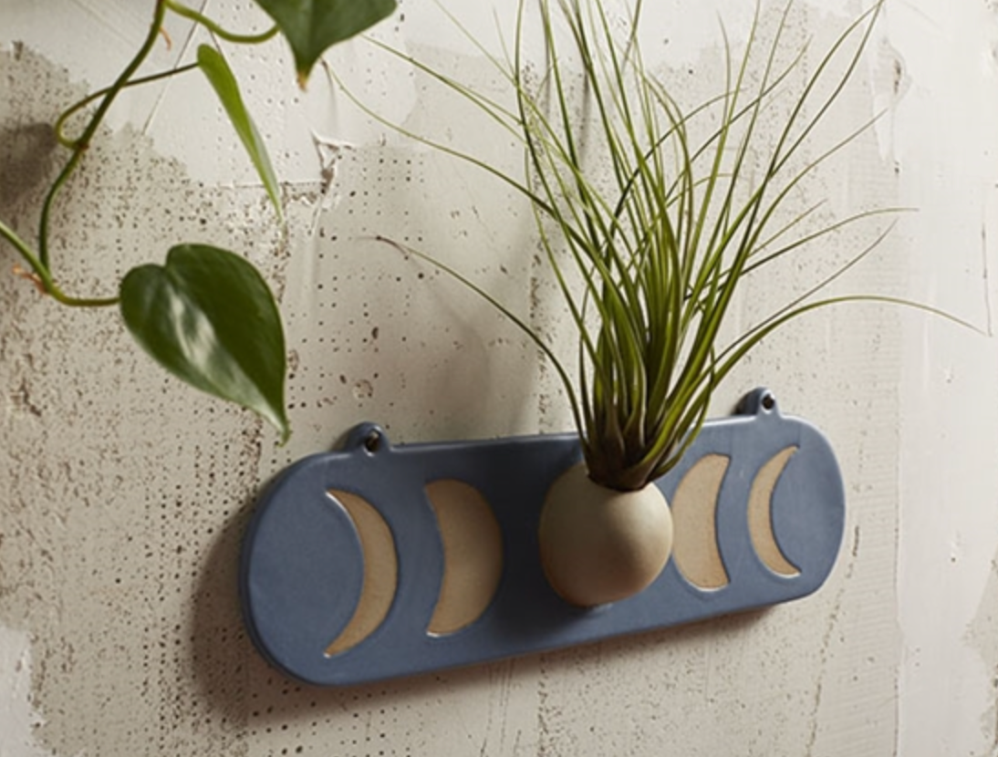 Tillandsia Moon Wall Mount Holder