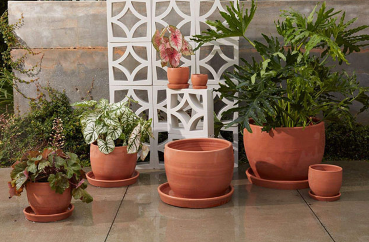 Baden Terracotta Pot