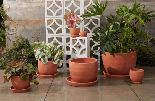 Baden Terracotta Pot