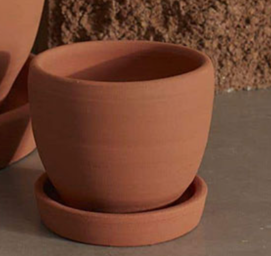 Baden Terracotta Pot