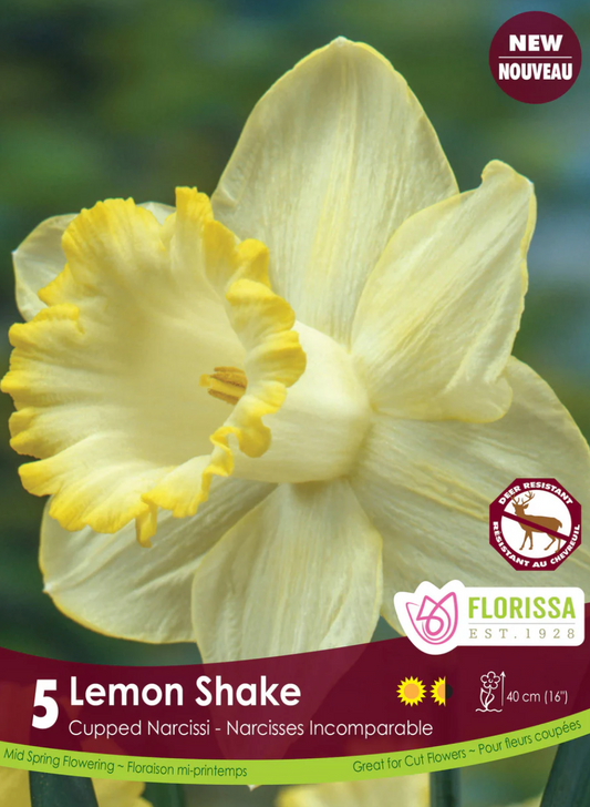 Lemon shake | Narcissus
