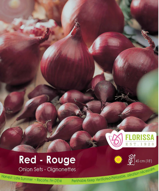 Onion Sets | Red Karmen Spanish