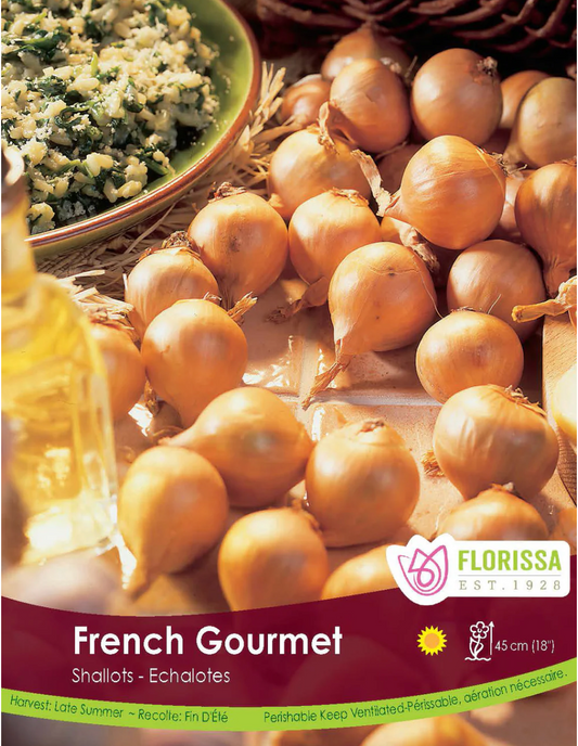 Onion Sets | Laval French Gourmet Shallots