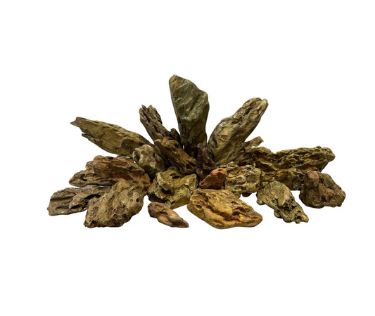 Holy Lace Rock | Japanese Dragon Rock