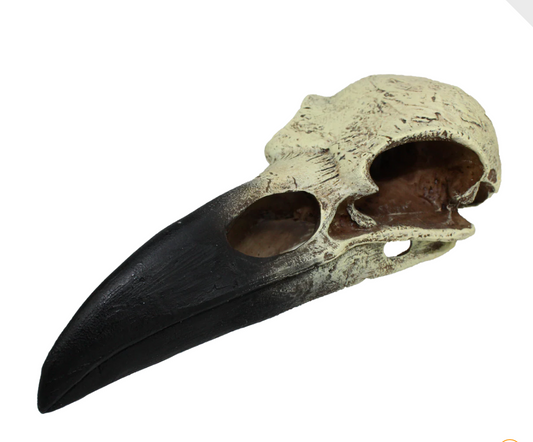 Raven Skull Medium