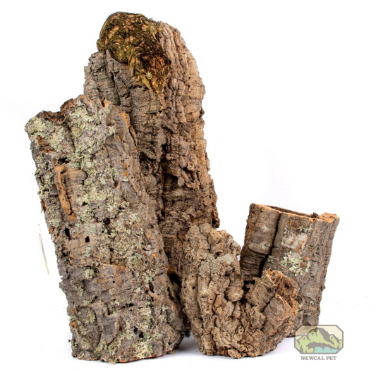 Cork Rounds