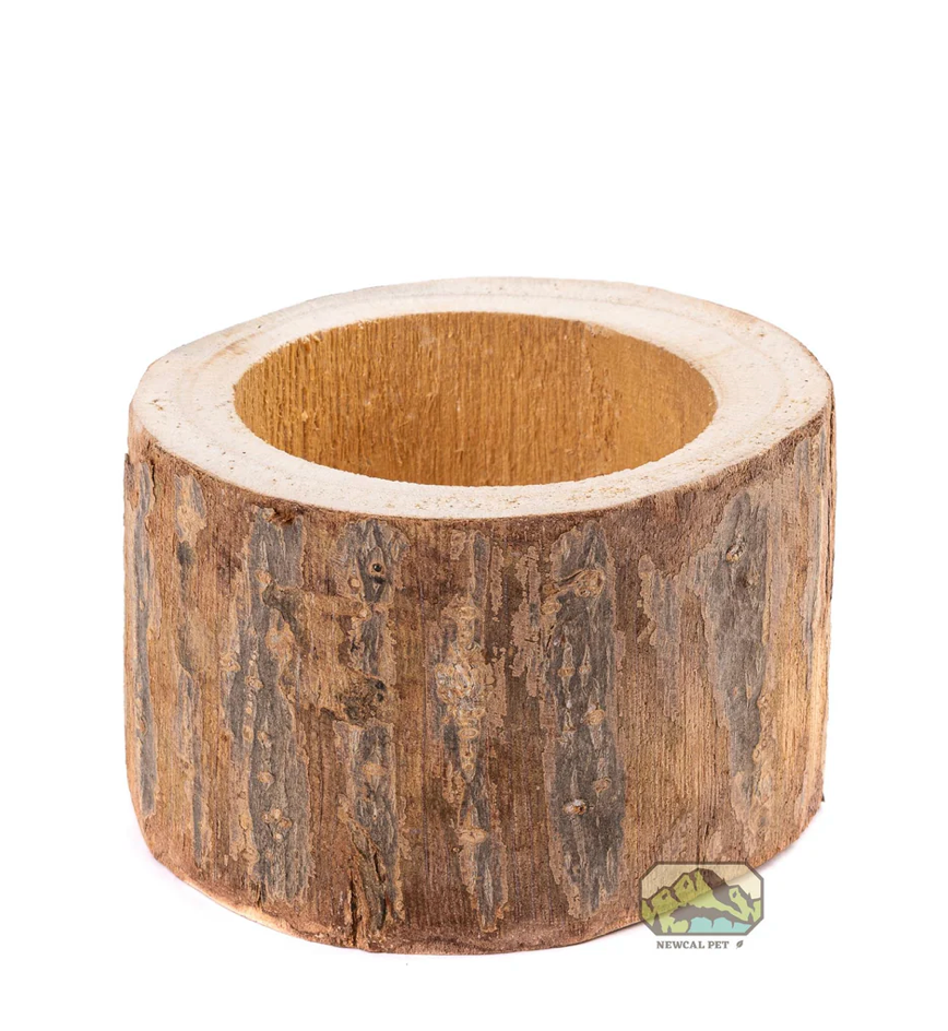 Pauwlonia Tree Pot